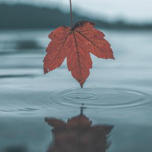 制服丝袜美女操逼
